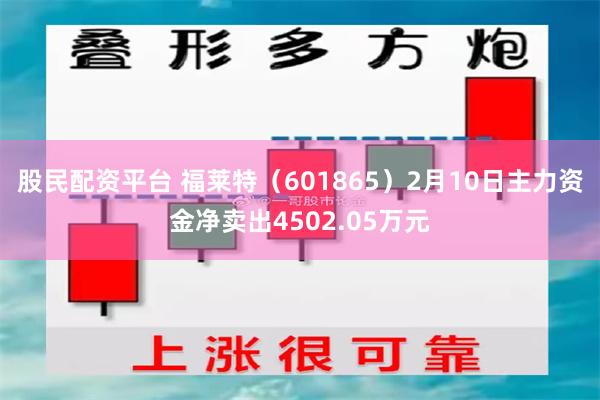 股民配资平台 福莱特（601865）2月10日主力资金净卖出4502.05万元