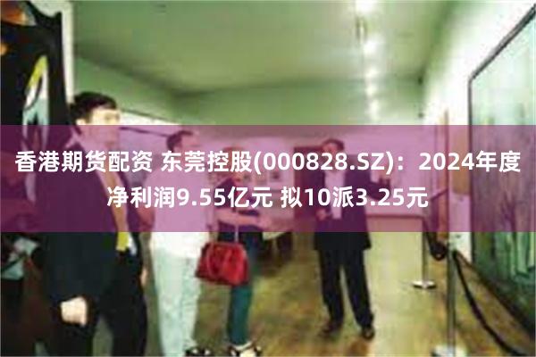香港期货配资 东莞控股(000828.SZ)：2024年度净利润9.55亿元 拟10派3.25元