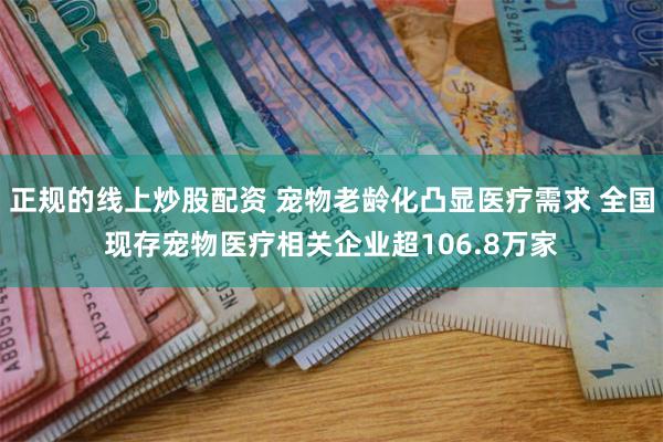 正规的线上炒股配资 宠物老龄化凸显医疗需求 全国现存宠物医疗相关企业超106.8万家