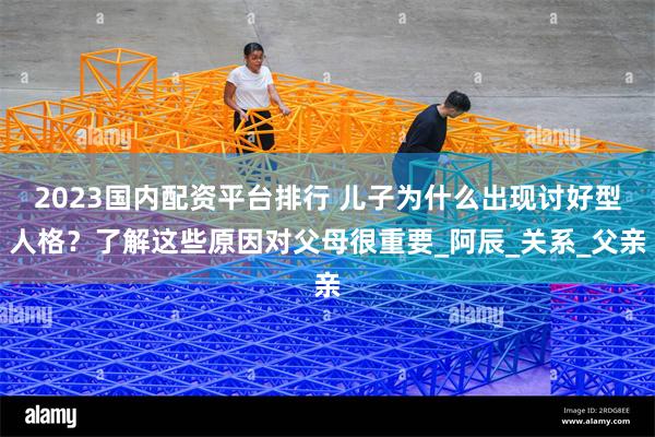 2023国内配资平台排行 儿子为什么出现讨好型人格？了解这些原因对父母很重要_阿辰_关系_父亲
