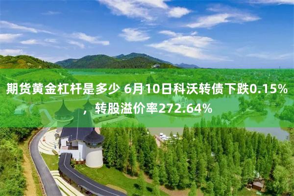 期货黄金杠杆是多少 6月10日科沃转债下跌0.15%，转股溢价率272.64%