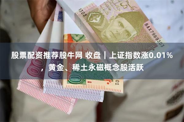 股票配资推荐股牛网 收盘｜上证指数涨0.01%，黄金、稀土永磁概念股活跃
