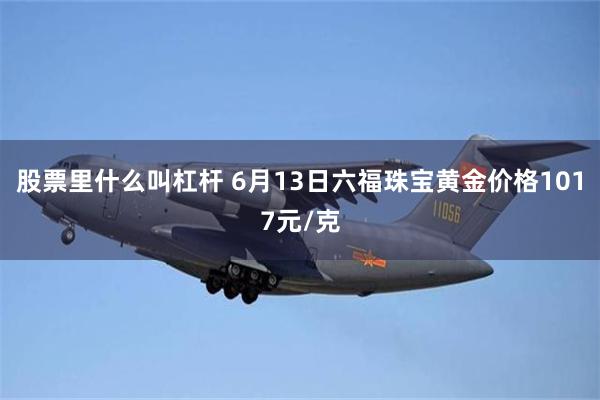 股票里什么叫杠杆 6月13日六福珠宝黄金价格1017元/克