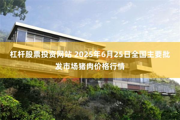 杠杆股票投资网站 2025年6月25日全国主要批发市场猪肉价格行情