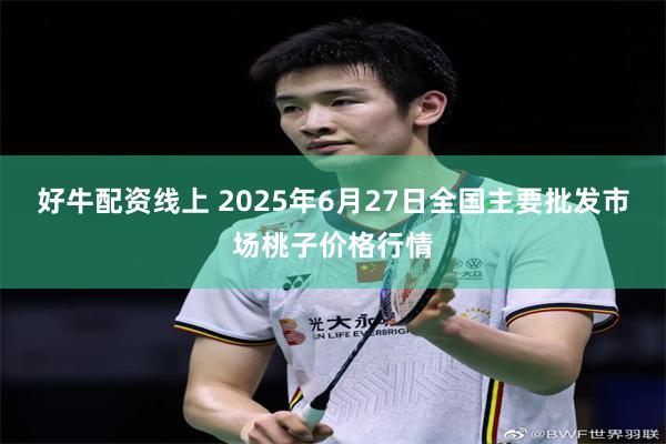 好牛配资线上 2025年6月27日全国主要批发市场桃子价格行情
