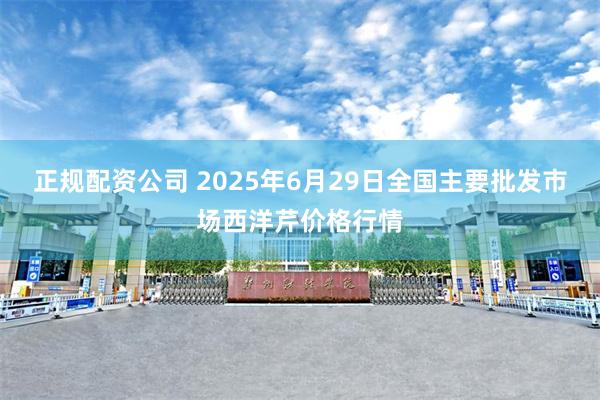 正规配资公司 2025年6月29日全国主要批发市场西洋芹价格行情